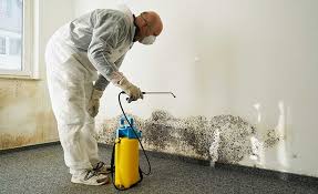 Best Water Damage & Mold Remediation  in Florence Graham, CA