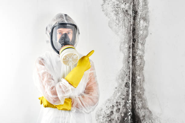 Best Mold Removal for HVAC Installations  in Florence Graham, CA